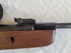 Gamo hunter 440