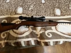 Gamo Hunter DX