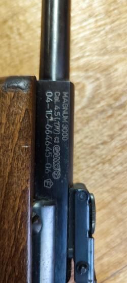Gamo magnum 3000