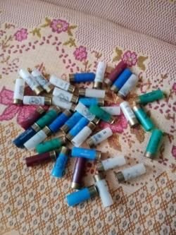 Гильзы 12 калибр