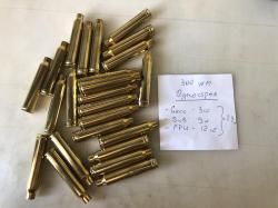 Гильзы 300WM однострел