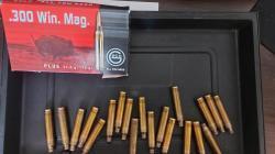 Продам стреляные гильзы Norma Lapua RWS Geco- 300 WM 30-06 223 8х68S 6.5x55