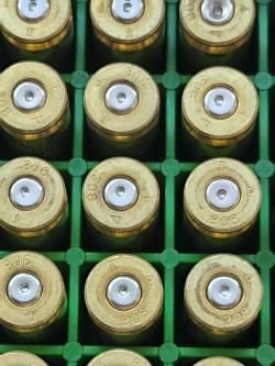 Гильзы Ruag Руаг 308 калибр однострел 100шт