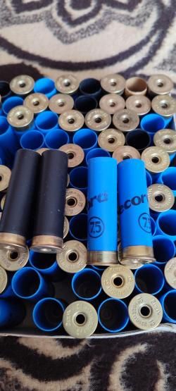 Гильзы СССР 12*70 и др.