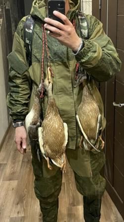 Girsan Enisey 12/76 760мм