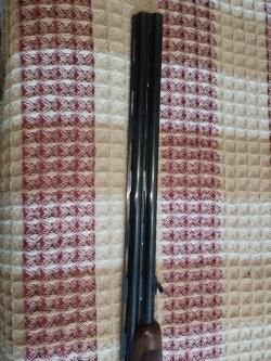 Гладкоствольное ружье Антонио Золли