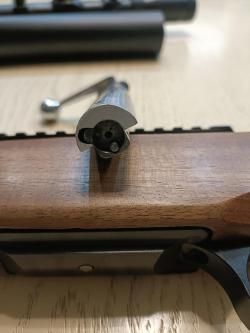 Горностай 223REM