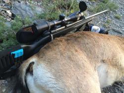   Горный Mannlicher SBS 96 PRO HUNTER  .300WinMag