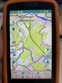 GPS навигатор для отслеживания собак
