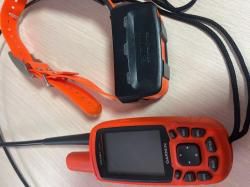 GPS навигатор с ошейником для собак Garmin Astro 430