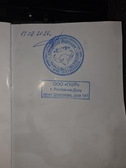 Grand Power t12 fm2 new 