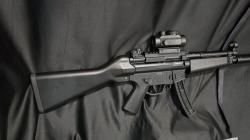 GSG-5, кал.22LR (Made in Germany)