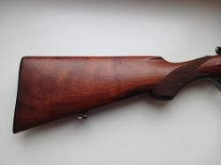 Густав Геншов 