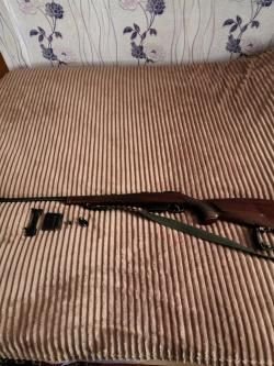    Gz 527 Luka    223     rem