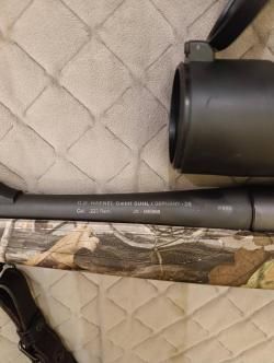 Haenel Jaeger 10, 223 Rem.