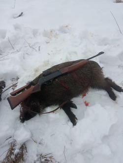 Haenel slb 2000+   в 308 win