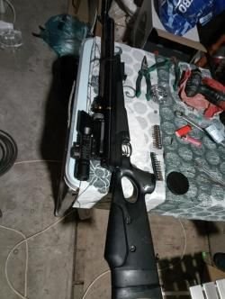 Hatsan 44 10