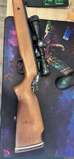 Hatsan 60S с оптикой nikko stirling