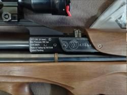 Hatsan AT-44/10