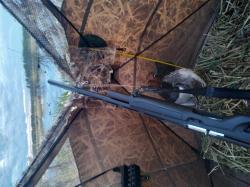 Хатсан Dynamic (Benelli Winci).