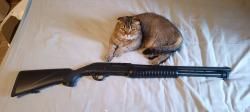 Hatsan Escort AimGuard