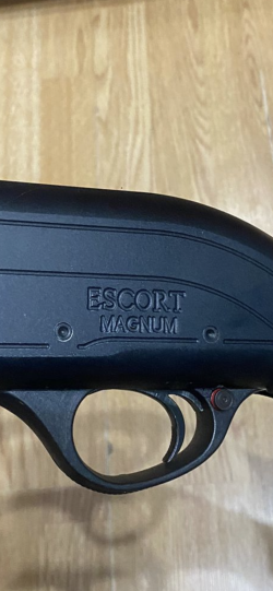 Hatsan Escort Magnum PS