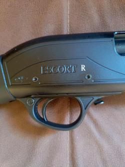 Hatsan Escort R 