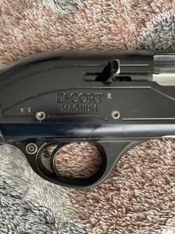 Hatsan Escort