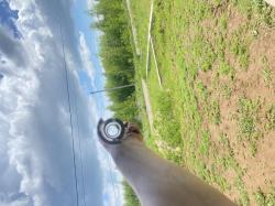 Хатсан эскорт магнум