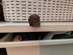 Hatsan Fieldhunter 710