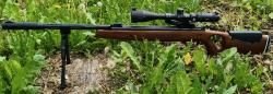Hatsan mod 65