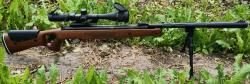 Hatsan mod 65