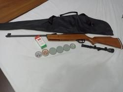 Hatsan striker alpha wood