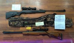 "Gamo CFX Royal" Подствольный взвод! и "Stoeger X50" Стоджер Магнум Для Охоты