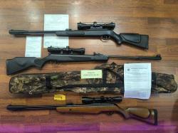 Gamo CFX Royal и Gamo CFX Plastic Подствольный взвод! и "Stoeger X50" Магнумы Для Охоты