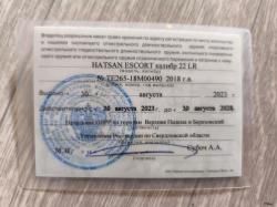 HAYSAN ESCORT cal.22 LR