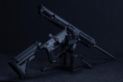 Heckler & Koch MR308
