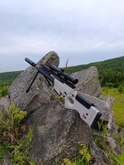 Hekler Kox sl8