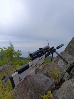 Hekler Kox sl8