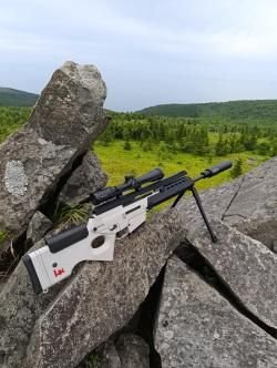 Hekler Kox sl8