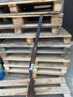 HUGLU MALLARD…cal.20/76