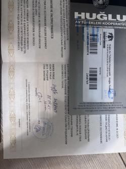 Huglu 103 de silver sup