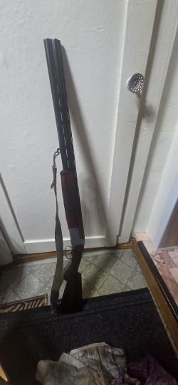Huglu Mallard gen 2