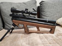 Ibon500