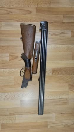 ИЖ-12