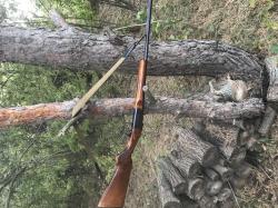 Иж-18Е 28 калибра