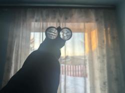 ИЖ 26 1971 год, ЭКСПОРТНОЕ!