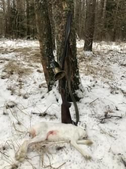 Иж 27 12 калибр