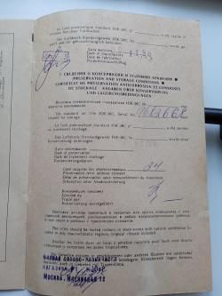 ИЖ-38С (идеал, 1996 год)