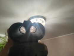 ИЖ-43 12 калибр